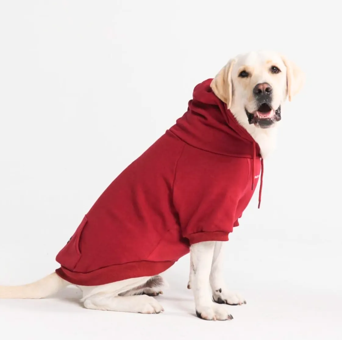 Essential Dog Hoodie - Burgundy