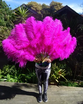 Ostrich Feather Fans