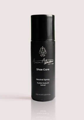 Shoe Care Spray